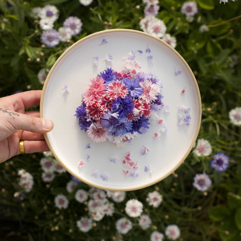 What Parts of Edible Flowers can you eat? - Edibleflower.ca by Heirloom Acres NOTL