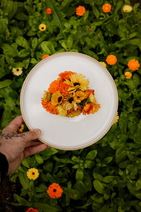 Fresh Edible Calendula - Edibleflower.ca by Heirloom Acres NOTL